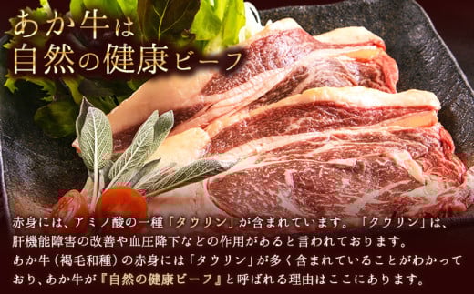 あか牛（褐毛和種）ロースステーキ (リブまたはサーロイン) 250g×2 500g 熊本県産 肉 和牛 牛肉 赤牛 あかうし リブロース サーロイン 冷凍 《2026年1月中旬-3月末頃出荷》送料無料