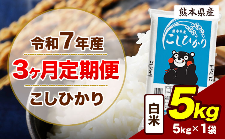 【3ヶ月定期便】令和7年産 定期便 こしひかり 5kg  白米 阿蘇 うぶやま 米 定期便 熊本県産 ふるさと納税 精米 ひの 米 こめ ふるさとのうぜい コシヒカリ コメ お米 おこめ《お申込み翌月から出荷》