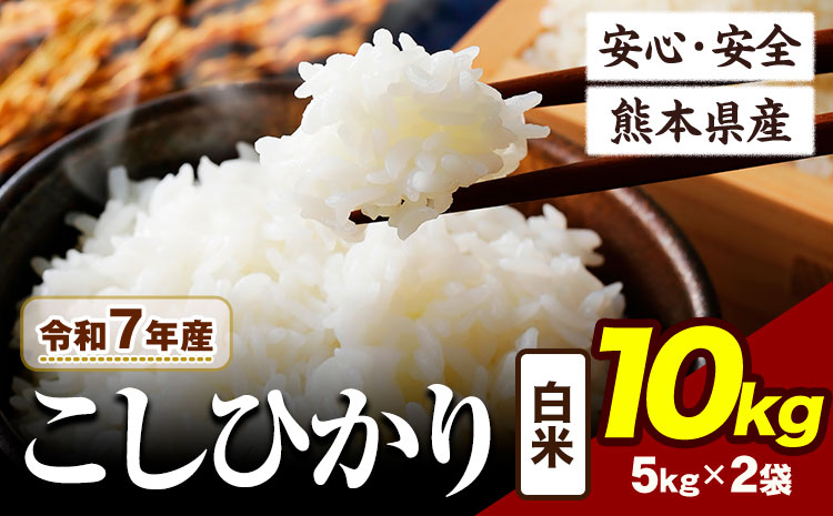 令和7年産 こしひかり 10kg 《7-14日以内に出荷予定(土日祝除く)》熊本県産 ふるさと納税 白米 精米 ひの 米 こめ ふるさとのうぜい コシヒカリ コメ お米 おこめ