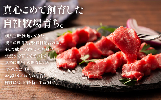 フジチクふじ馬刺し上赤身4個セット 合計約320g《30日以内に出荷予定（土日祝除く）》