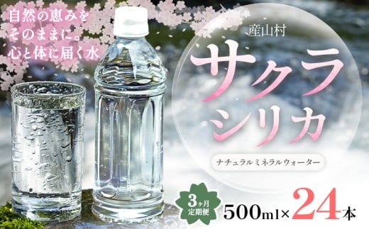 【3ヶ月定期便】サクラシリカ 500ml × 24本 みずの里《申込月の翌月から出荷開始》熊本県 阿蘇郡 産山村 ミネラルウォーター シリカ 水 天然水 鉱水 ラベルレス ラベルなし