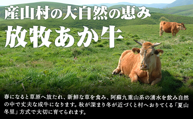 放牧 あか牛 の ミニ ローストビーフ 300g 焼肉正 もも肉 ブロック ギフト 贈り物 お歳暮 贈答 熊本 阿蘇 産山村 《60日以内に出荷(土日祝除く)》ブロック肉 モモ ローストビーフ【配送不可地域あり】