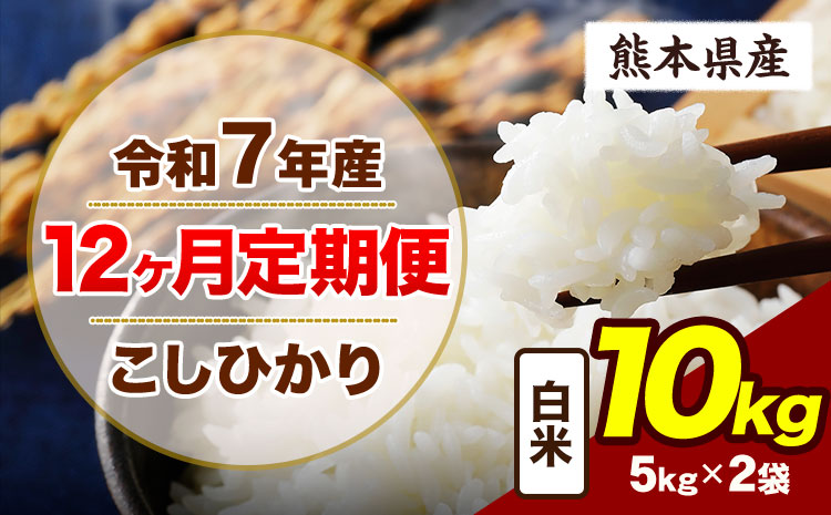 【12ヶ月定期便】令和7年産 定期便 こしひかり 10kg  白米 阿蘇 うぶやま 米 定期便 熊本県産 ふるさと納税 精米 ひの 米 こめ ふるさとのうぜい コシヒカリ コメ お米 おこめ《お申込み翌月から出荷》