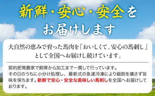 国産上赤身馬刺し 600g《60日以内に出荷予定(土日祝除く)》熊本県 産山村 阿蘇牧場
