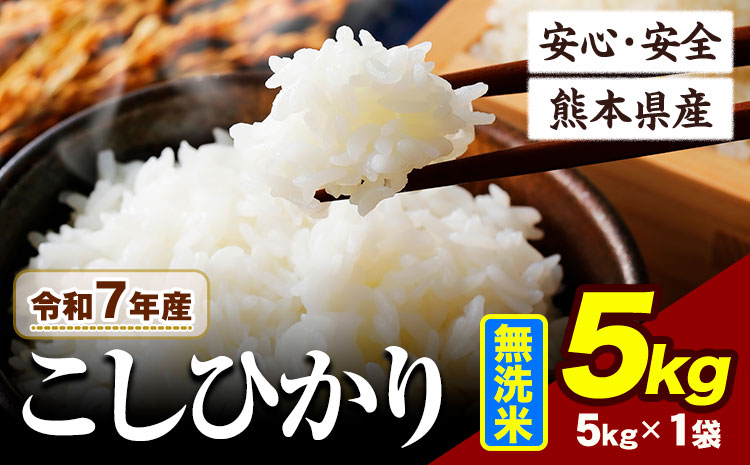 令和7年産 こしひかり 5kg [7-14日以内に出荷予定(土日祝除く)]熊本県産 ふるさと納税 無洗米 ひの 米 こめ ふるさとのうぜい コシヒカリ コメ お米 おこめ