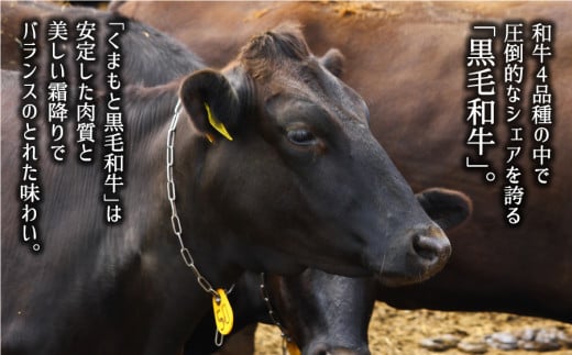 くまもと黒毛和牛・モモ焼肉用約500g《60日以内に出荷予定(土日祝除く)》