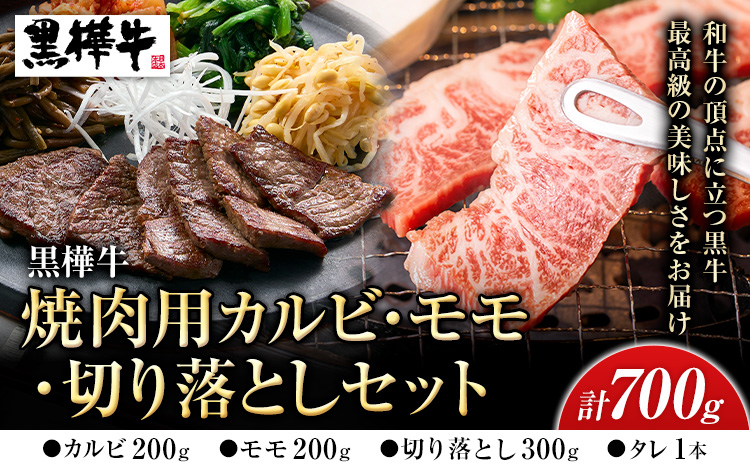 熊本県産黒毛和牛　黒樺牛焼肉用カルビ・モモ・切り落としセット　しょうゆタレ付 肉好き必見 黒毛和牛 黒樺牛 肉 牛肉 焼肉 カルビ モモ 切り落とし 国産 専門店 熊本県 贈答 ギフト お中元 お歳暮 熊本 阿蘇 産山村《60日以内に出荷(土日祝除く)》
