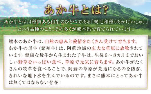 国産 牛肉 ローストビーフ 牛肉 ブロック 赤身 あか牛 送料無料 《60日以内に出荷予定(土日祝除く)》熊本県産 熊本 国産牛 500g ローストビーフ丼 牛肉 サンドイッチ 牛肉 国産牛 あか牛 ローストビーフ 500g