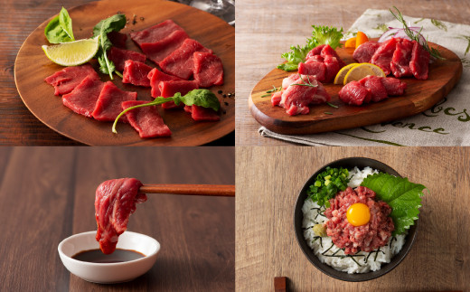 「熊本特産」フジチクオリジナル 特選馬刺しの8種セット《30日以内に出荷予定(土日祝除く)》					