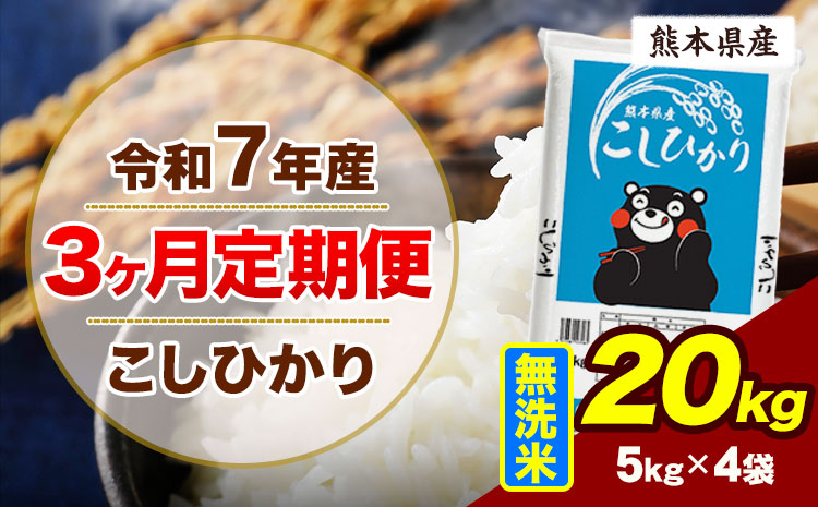 【3ヶ月定期便】令和7年産 定期便 こしひかり 20kg  無洗米 阿蘇 うぶやま 米 定期便 熊本県産 ふるさと納税 精米 ひの 米 こめ ふるさとのうぜい コシヒカリ コメ お米 おこめ《お申込み翌月から出荷》