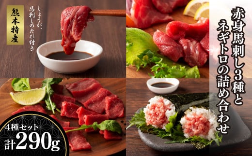 「熊本特産」赤身馬刺し3種とネギトロの詰め合わせ《30日以内に出荷予定(土日祝除く)》