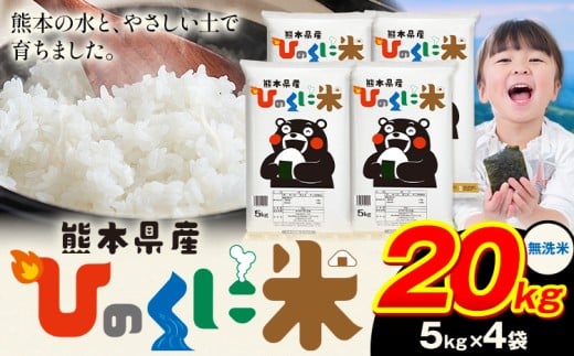 無洗米 ひのくに米 20kg 《7-14日以内に出荷予定(土日祝除く)》 食品 米 こめ コメ 熊本県産 ふるさと納税 お米 おこめ 熊本