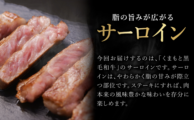 くまもと黒毛和牛・サーロイン約500g《60日以内に出荷予定(土日祝除く)》