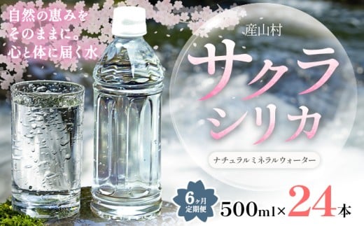 【6ヶ月定期便】サクラシリカ 500ml × 24本 みずの里《申込月の翌月から出荷開始》熊本県 阿蘇郡 産山村 ミネラルウォーター シリカ 水 天然水 鉱水 ラベルレス ラベルなし