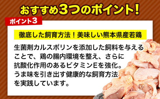 【12ヶ月定期便】鶏肉 小分け 鶏肉 むね  ムネ カット済 若鶏3.72kg 《お申込み月の翌月から出荷開始》