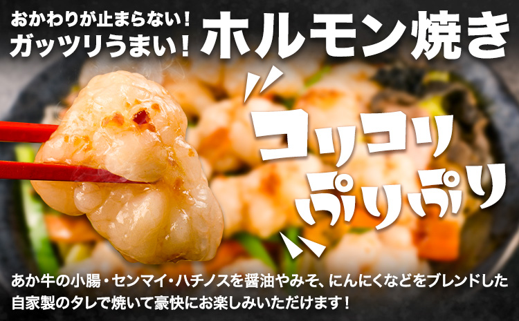 放牧 あか牛 ホルモン焼き 300g 焼肉正 ホルモン ギフト 贈り物 お歳暮 贈答 熊本 阿蘇 産山村 《30日以内に出荷(土日祝除く)》牛肉 牛 あか牛 おつまみ【配送不可地域あり】