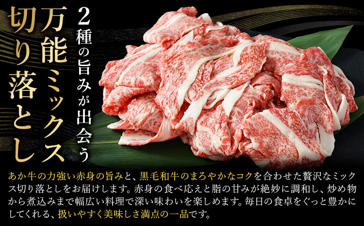 あか牛＆黒毛和牛ミックス牛肉切り落とし 500g 熊本県畜産農業協同組合《60日以内に出荷予定(土日祝除く)》熊本県 産山村 くまもとあか牛 くまもと黒毛和牛 切り落とし 牛肉 肉 熊本県産 和牛 あか牛 黒毛和牛【配送不可地域あり】（離島）