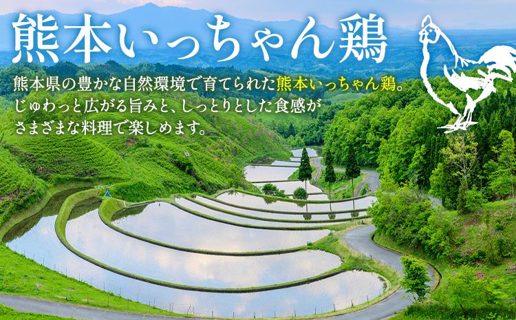 鶏肉 熊本いっちゃん鶏 むね肉 一枚肉  約3kg 10枚 株式会社九州児湯フーズ《30日以内に出荷予定(土日祝除く)》 鶏ムネ むね 熊本県 産山村
