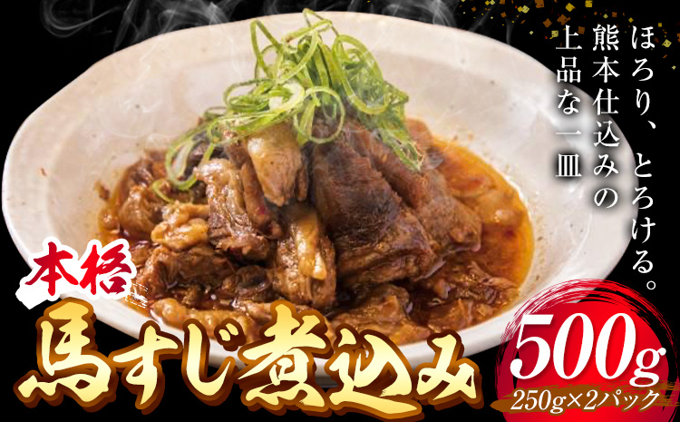馬肉 本格馬すじ煮込み 馬すじ 煮込み 外輪 【配送不可地域あり】（離島）《60日以内に出荷予定(土日祝除く)》 熊本 冷凍 馬刺 馬肉 絶品 おつまみ 贈答用 ギフト お中元 お歳暮 産山村 送料無料