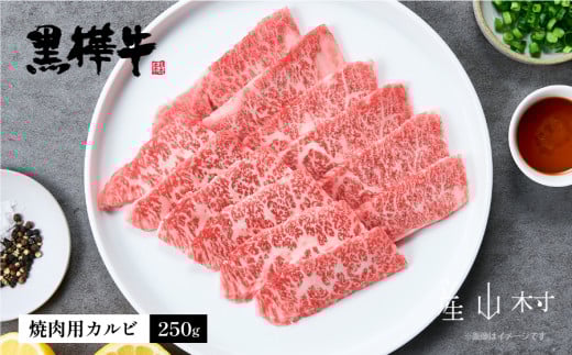 熊本県産黒毛和牛　黒樺牛焼肉用カルビ　250ｇ《60日以内に出荷予定(土日祝除く)》