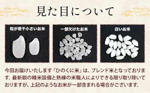 無洗米 ひのくに米 10kg 《7-14日以内に出荷予定(土日祝除く)》 食品 米 こめ コメ 熊本県産 ふるさと納税 お米 おこめ 熊本