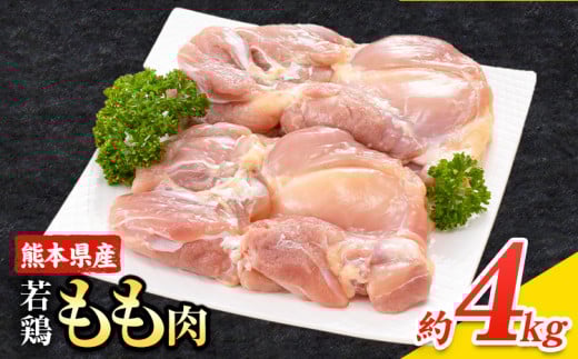 大容量 鶏肉  鶏もも 鶏もも肉 熊本県産 若鶏もも肉 4kg 《1月中旬-2月末頃出荷》 肉 鶏肉 若鶏 国産 真空 冷凍 冷凍庫 鳥 鳥肉 鳥もも 鳥もも肉 モモ モモ肉 鶏モモ肉 若鶏モモ