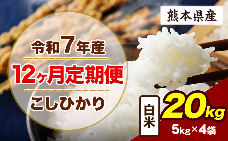 【12ヶ月定期便】令和7年産 定期便 こしひかり 20kg  白米 阿蘇 うぶやま 米 定期便 熊本県産 ふるさと納税 精米 ひの 米 こめ ふるさとのうぜい コシヒカリ コメ お米 おこめ《お申込み翌月から出荷》