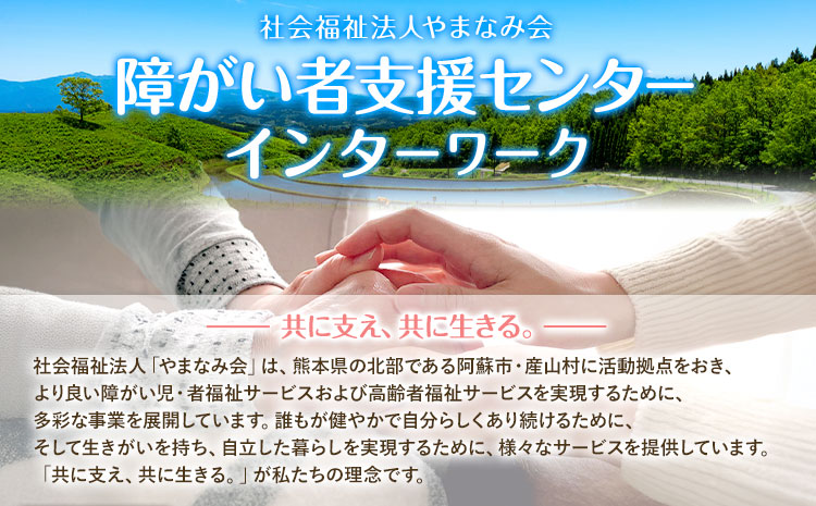 ドリップ珈琲セット 4種 4パック 社会福祉法人やまなみ会インターワーク《30日以内に出荷予定(土日祝除く)》熊本県 産山村 自家焙煎 飲み物 コーヒー 珈琲 ドリップ ドリップバッグ