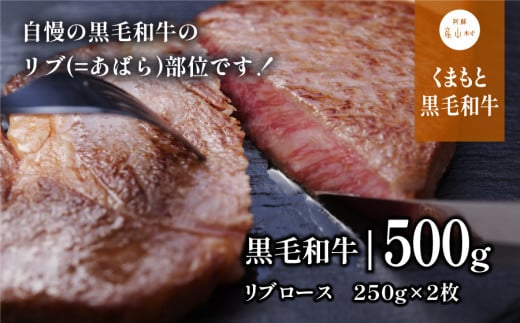 くまもと黒毛和牛・リブロース約500g《60日以内に出荷予定(土日祝除く)》