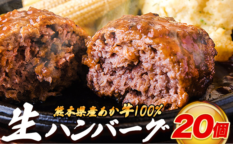 熊本県産あか牛100%生ハンバーグ 140g×20個入り 合計2800g 《30日以内に出荷予定(土日祝除く)》熊本県産あか牛 冷凍