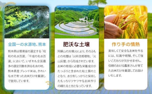 【隔月6回定期便】 無洗米 ひのくに米 5kg 《お申込み翌月から出荷》 食品 米 こめ コメ 熊本県産 ふるさと納税 お米 おこめ 熊本