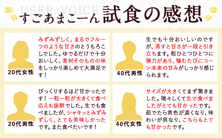 【先行予約】【着日指定不可】 すごあまこーん とうもろこし 極甘 スイートコーン ゴールドラッシュ 恵味 20本 《2026年7月中旬-8月上旬頃出荷予定》熊本県 産山村 野菜 夏野菜 コーン トウモロコシ 一番果 冷蔵