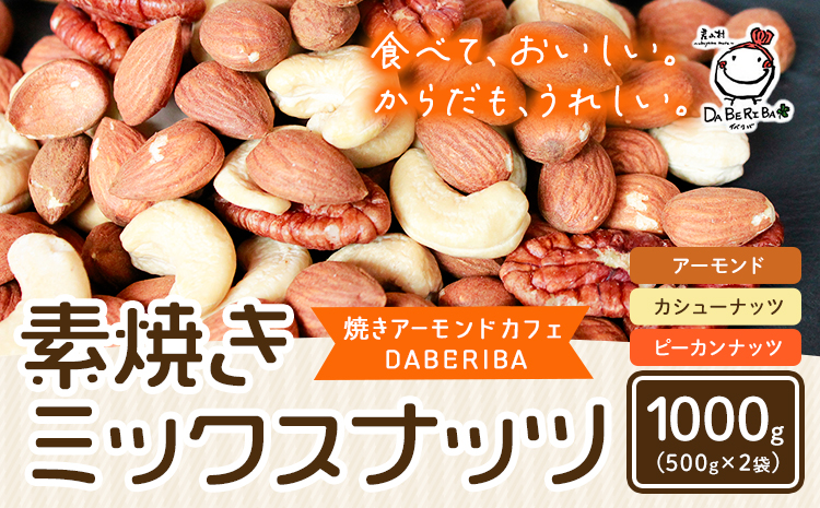 素焼き ミックス ナッツ 1000g 1kg 2袋 アーモンド カシューナッツ ピーカンナッツ 詰め合わせ 熊本 産山村 無塩 備蓄食 常備食 大容量 人気 おつまみ お中元 お歳暮 贈答 ギフト《30日以内に出荷予定(土日祝除く)》