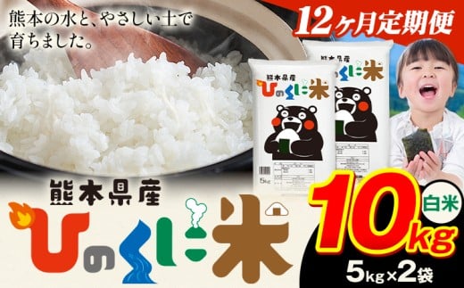 【12ヶ月定期便】 白米 ひのくに米 10kg 《お申込み翌月から出荷》 食品 米 こめ コメ 熊本県産 ふるさと納税 お米 おこめ 熊本