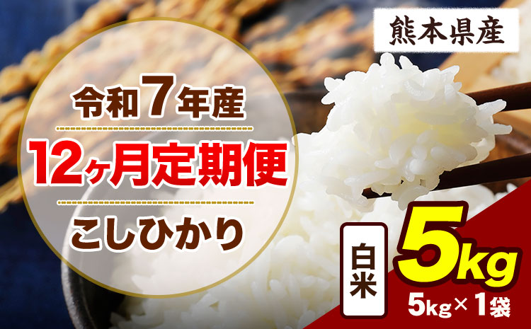 【12ヶ月定期便】令和7年産 定期便 こしひかり 5kg  白米 阿蘇 うぶやま 米 定期便 熊本県産 ふるさと納税 精米 ひの 米 こめ ふるさとのうぜい コシヒカリ コメ お米 おこめ《お申込み翌月から出荷》