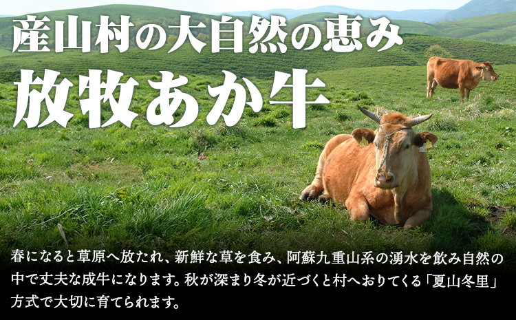 阿蘇うぶやま村の放牧あか牛極上ステーキ・すきやきセット 焼肉正 ヒレ サーロイン リブロース モモ ステーキ すきやき 赤身 和牛 牛肉 牛 国産 あか牛 焼肉 ギフト 詰め合わせ 贈り物 お歳暮 贈答 熊本 阿蘇 産山村 《60日以内に出荷(土日祝除く)》【配送不可地域あり】