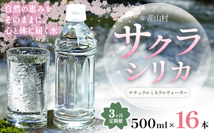 ã3ã¶æå®æäŸ¿ããµã¯ã©ã·ãªã« 500ml 16æ¬ å®æäŸ¿ ã¿ãã®éããç³èŸŒã¿ç¿æããåºè·ãçæ¬ç é¿èé¡ ç£å±±æ ããã©ã«ãŠã©ãŒã¿ãŒ ã·ãªã« æ°Ž å€©ç¶æ°Ž 鱿°Ž ã©ãã«ã¬ã¹ ã©ãã«ãªã