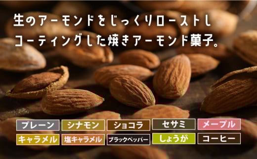 たっぷり楽しめる詰め合わせ!焼きアーモンド10点セット