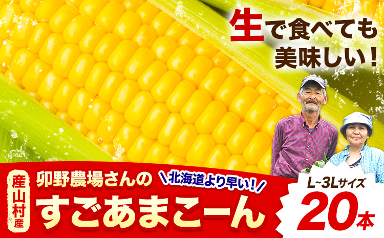 【先行予約】【着日指定不可】 すごあまこーん とうもろこし 極甘 スイートコーン ゴールドラッシュ 恵味 20本 《2026年7月中旬-8月上旬頃出荷予定》熊本県 産山村 野菜 夏野菜 コーン トウモロコシ 一番果 冷蔵