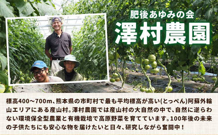 有機JASとっぺんトマト 約4kg 旬 お取り寄せ 詰め合わせ 贈答 ギフト お中元 お歳暮 熊本 阿蘇 産山村 送料無料 トマト 無農薬 有機《7月上旬-8月下旬頃出荷》