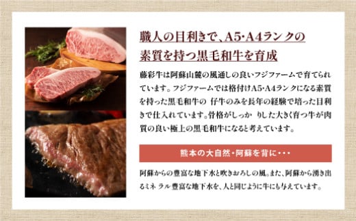 熊本黒毛和牛「藤彩牛」バラ(カルビ)とモモの2種セット《30日以内に出荷予定(土日祝除く)》