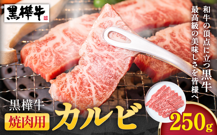 熊本県産黒毛和牛　黒樺牛焼肉用カルビ　250g 肉好き必見 黒毛和牛 黒樺牛 肉 牛肉 250g×1 焼肉 カルビ 国産 専門店 熊本県 取り寄せ 贈答 ギフト お中元 お歳暮 熊本 阿蘇 産山村 送料無料《60日以内に出荷予定(土日祝除く)》