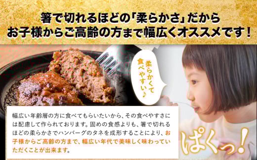 熊本県産あか牛100%生ハンバーグ 140g×13個入り 合計1820g《30日以内に出荷予定(土日祝除く)》熊本県産あか牛 冷凍