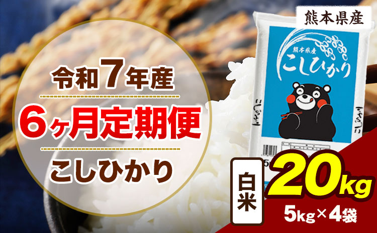 【6ヶ月定期便】令和7年産 定期便 こしひかり 20kg  白米 阿蘇 うぶやま 米 定期便 熊本県産 ふるさと納税 精米 ひの 米 こめ ふるさとのうぜい コシヒカリ コメ お米 おこめ《お申込み翌月から出荷》