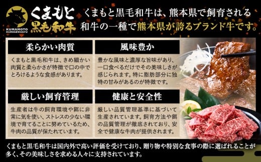 A4〜A5等級 黒毛和牛 切り落とし 上 ロース 焼肉 切り落とし 900g《30日以内に出荷予定(土日祝除く)》くまもと黒毛和牛 熊本県 産山村 上ロース 焼肉用 黒毛和牛 焼肉 肉 お肉 和牛 A5 A4 300g リブロース サーロイン
