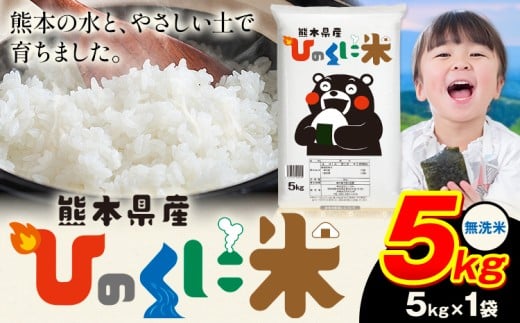 無洗米 ひのくに米 5kg 《7-14日以内に出荷予定(土日祝除く)》 食品 米 こめ コメ 熊本県産 ふるさと納税 お米 おこめ 熊本
