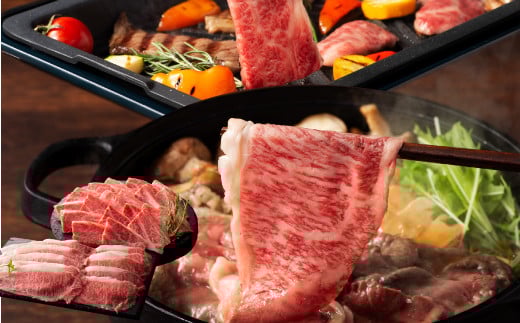 ãããžãã¯ãªãªãžãã«ããµã銬åºããšè€åœ©çã®èŽ
æ²¢é£ã¹æ¯ã¹ã»ããã30æ¥ä»¥å
ã«åºè·äºå®(忥ç¥é€ã)ã