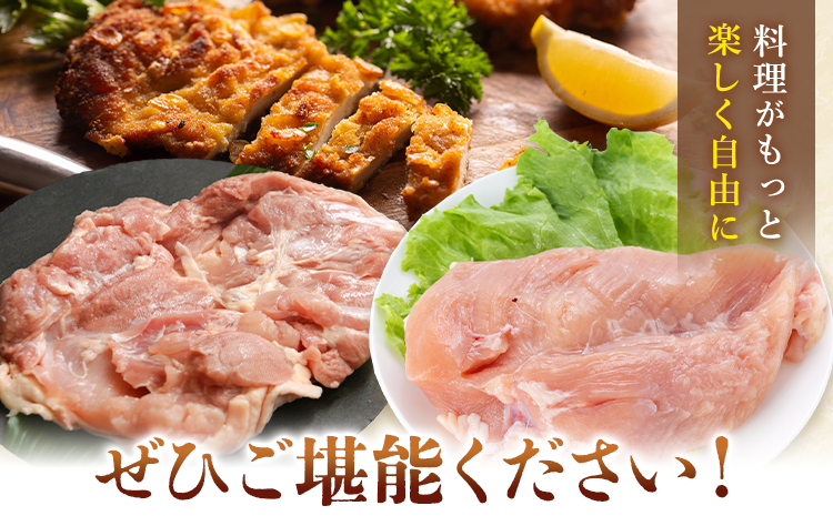 鶏肉 熊本いっちゃん鶏 むね肉 一枚肉  約3kg 10枚 株式会社九州児湯フーズ《30日以内に出荷予定(土日祝除く)》 鶏ムネ むね 熊本県 産山村