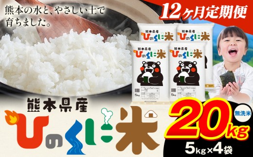 【12ヶ月定期便】 無洗米 ひのくに米 20kg 《お申込み翌月から出荷》 食品 米 こめ コメ 熊本県産 ふるさと納税 お米 おこめ 熊本