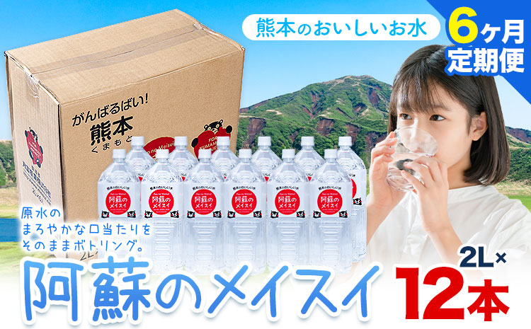 水 熊本 の おいしい お水 阿蘇のメイスイ阿蘇山 天然水 2L × 12本 2ケース 6ヶ月定期便 丸富産業《お申し込みの翌月から出荷開始》熊本県 産山村 水 天然水 みず 熊本 飲料 熊本県 ミネラルウォーター